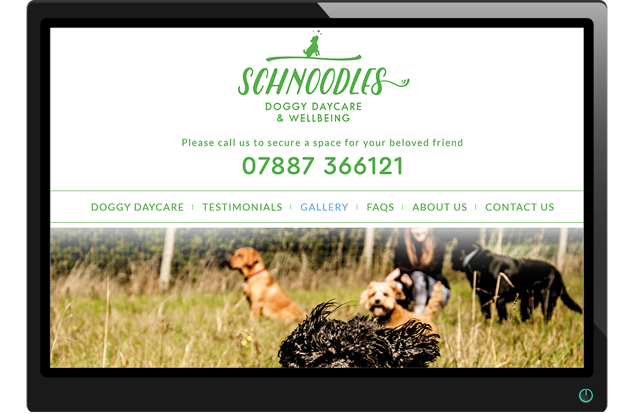 Schnoodles Doggy Daycare website by SJI Design